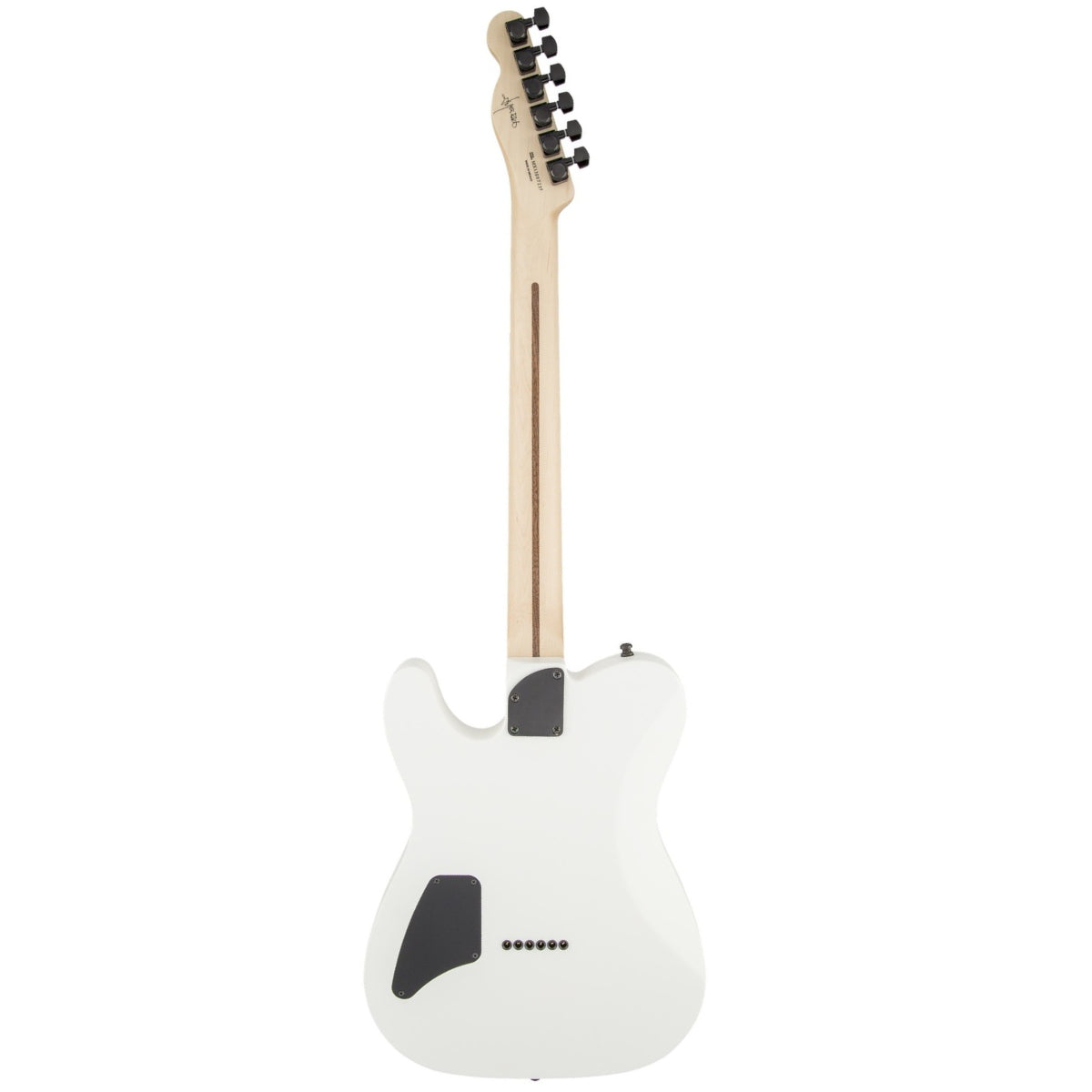 Fender Limited Edition Player Telecaster HH PF Silverburst