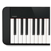 Đàn Piano Điện Casio PX S1000