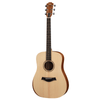 Đàn Guitar Taylor A10 Acoustic w/Bag