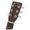 Đàn Guitar Martin LX1E Little Series Acoustic w/Bag