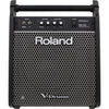 Amplifier Roland PM100, Combo