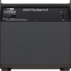 Amplifier Roland PM200, Combo - Việt Music