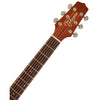 Đàn Guitar Takamine P1DC, Acoustic