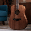 Đàn Guitar Taylor A20E Acoustic w/Bag
