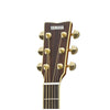 Đàn Guitar Yamaha LS6M ARE Acoustic